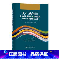[正版]大牛地气田上古生界储层构型及单砂体精细描述 中国石化出版社