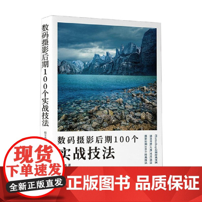 数码摄影后期100个实战技法 倪士杰 著 摄影