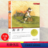 [正版]狗来了书 国际大奖小说小学生课外阅读书籍三年级四五六年级必读新蕾出版社 老师班主任7-8-10-12-15岁畅