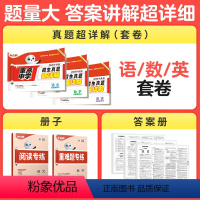 推荐]3本语数英-名校真题卷488套 小学通用 [正版]2025小白鸥星空小升初真题卷语文数学英语人教版招生真题超详