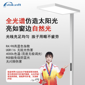 思坦库(stakunft)全光谱护眼落地灯学生儿童学习阅读立式台灯卧室书房LED大路灯上下发光护眼灯STK-01-100 白色