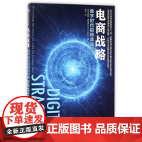 电商战略(数字时代的精准战略)