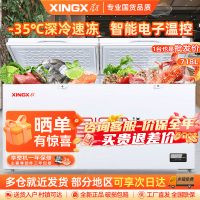 星星(XINGX)BD/BC-718GD厨房商用保鲜设备卧式冷柜单温冷藏冷冻转换家用大容量-35℃深冷速冻超市丸子雪糕柜