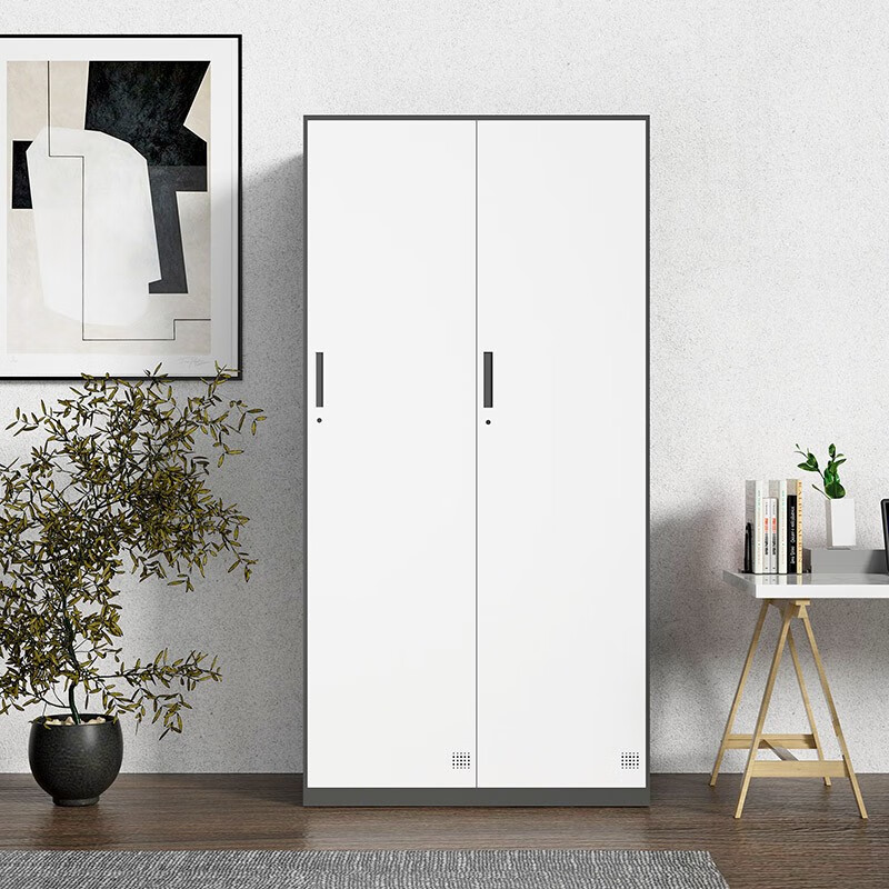 震怡 更衣柜 员工储物柜钢制铁皮柜寄存收纳柜 衣柜灰白套 二门