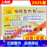 灿烂在六月 中考语文 试卷+答案 上海 [正版]2025新版 灿烂在六月 中考语文 试卷+答案 上海市新中考模拟强化测试