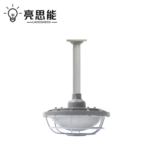 亮思能 LED防爆灯 三防飞碟灯 免维护隔爆灯LSN-DLB 60W 个