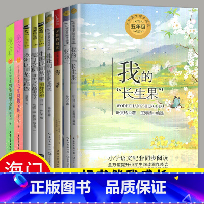 必读 《长江少儿小兵张嘎》长江少年儿童出版社 [正版]2024秋海门好书五年级上册下册中国民间故事欧洲民间故事非洲民间故