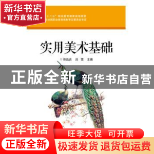 正版 实用美术基础 陈泓吉,吕雪主编 电子工业出版社 9787121249