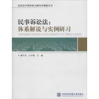 正版新书]民事诉讼法:体系解说与实例研习廖中洪//孔令章978756