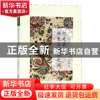 正版 行走在历史与现实之间 老鹏著 机械工业出版社 978755430653