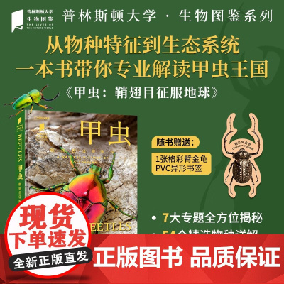 甲虫 阿瑟·文森特·埃文斯 著 科普读物