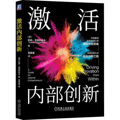 正版新书]激活内部创新(美)凯哈·克里彭多夫 著 吴家喜 译978711