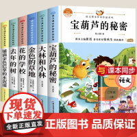 三年级必读的课外书老师大林和小林宝葫芦的秘密张天翼 全套上学期经典书目 小学生课外阅读书籍6-8岁儿童读物故事书 去年的