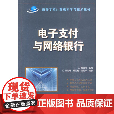 电子支付与网络银行(高等学校计算机科学与技术教材)