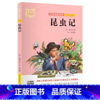 昆虫记 [正版]中小学生大阅读系列丛书 爱的教育爱丽丝漫游奇境记安徒生童话小王子狐狸列那的故事一千零一夜昆虫记课内外拓展