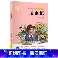 昆虫记 [正版]中小学生大阅读系列丛书 爱的教育爱丽丝漫游奇境记安徒生童话小王子狐狸列那的故事一千零一夜昆虫记课内外拓展