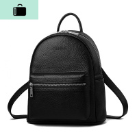 双肩包女韩版2020新款夏pu时尚个性百搭定型小包包女士背包潮书包NEW LAKE