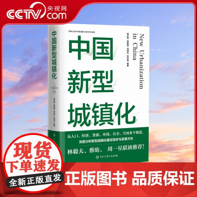 [央视网]中国新型城镇化 从人口 经济 资源 环境 社会 空间多个维度 深度分析新型城镇化建设现状与发展方向BK