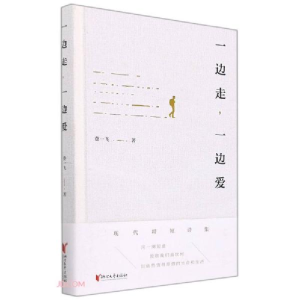 正版新书]一边走一边爱(精)费一飞著9787533962159