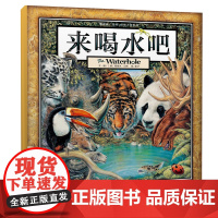 来喝水吧精装硬壳获奖儿童绘本故事书一年级必读幼儿园大班亲子阅读图画书课外书籍二年级葛瑞米贝斯24秋班班共读桥梁非注音版