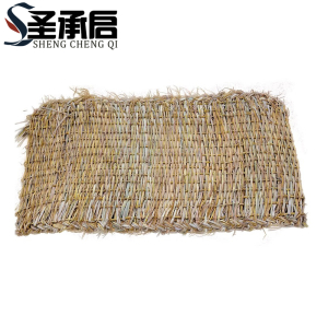 圣承启 下雪防滑草垫 100*200cm 张