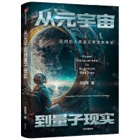 [N]从元宇宙到量子现实(迈向后人类主义政治本体论)(精)-9787521756135