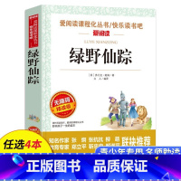 绿野仙踪 [正版]老师绿野仙踪三年级必读的课外书适合四年级读的课外阅读书籍 五年级小学生弗兰克鲍姆 儿童文学经典书目上册