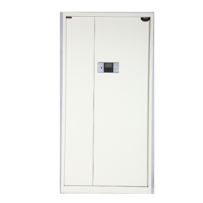 东松 双门电子密码文件柜 900*430*1800 套
