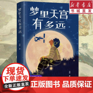 梦里天宫有多远 刘辉著儿童文学成长故事留守儿童乡村振兴孩子航空梦想的现实主义题材长篇儿童小说成长智慧励志书籍课外阅读书