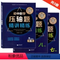 [正版]初中数学压轴题精讲精练 七年级+八年级+九年级/789年级 中考 含答案 上海教育出版社