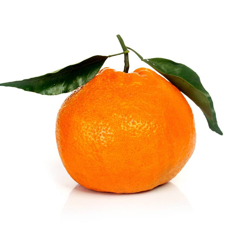 斤大果精选 毛重9斤以上【套袋果款】新鲜水果橘子蜜桔子当季粑粑柑橘