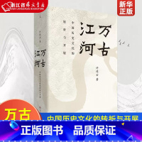[正版]万古江河 中国历史文化的转折与开展 许倬云著 上下五千年历史文化来源成长发展 传统文化历史知识