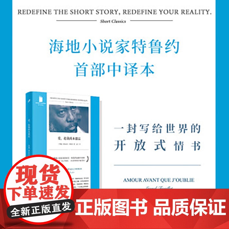 爱趁我尚未遗忘 短经典精选软精装 海地小说家莱昂内尔特鲁约首部中译本 一封写给世界的开放式情
