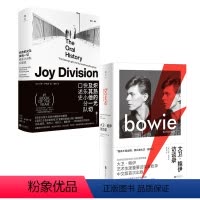 [正版]明室 套装2册:大卫·鲍伊访谈录+炽热的光及其他一切 艺术时尚 回忆录 自传书籍