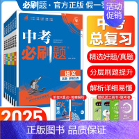 [中考解题有法]语文 古诗词鉴赏 全国通用 [正版]2025中考语文数学英语物理化学政治历史地理生物人教版初中初三九年级