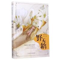 正版新书]野天鹅(丹)安徒生9787559718952