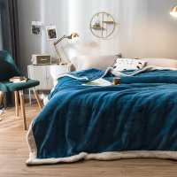 午睡毛毯 加厚毯子180*200cm(1.4kg)