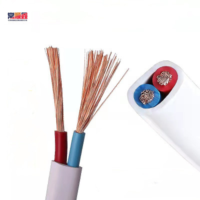 常顺鑫 白护套线RVV 300/500V 2×4 100米/卷