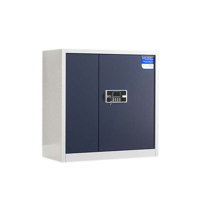 风雷动保密柜财务档案柜文件柜办公室资料储物柜保险柜电子密码国保锁矮柜白灰-电子密码锁