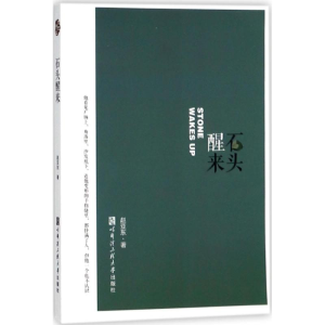 醉染图书石头醒来9787566118387