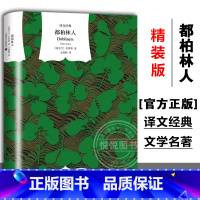 [正版]译文经典都柏林人 乔伊斯著/王逢振译 爱尔兰文学 上海译文出版社 初高中学生课外阅读 名家名译世界名著文学外国
