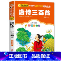 唐诗三百首 [正版]彩图注音版论语书一年级二年级三年级上册下国学经典老师图书本小学生课外阅读书籍少儿读物儿童故事书