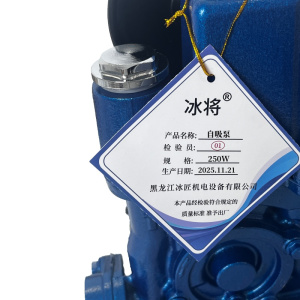 冰将 220V全自动自吸泵加压水泵 台