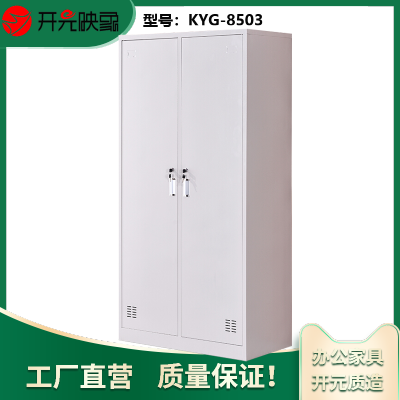 开元映象办公文件储物存包多功能带锁对开门两门钢制更衣柜储物柜KYG-8503