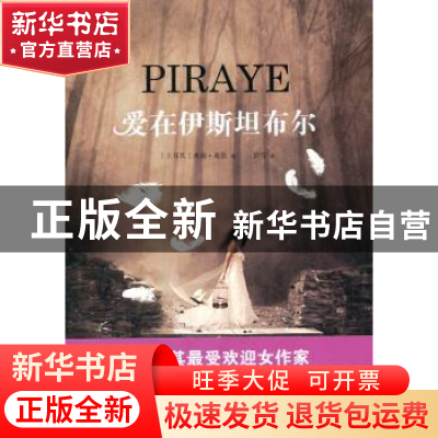 正版 爱在伊斯坦布尔 (土耳其)典南·桑恩(Canan Tan)著 人民文学