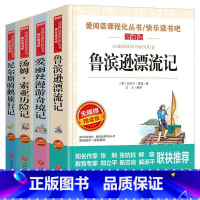 [4册]爱丽丝漫游奇境+鲁滨逊漂流记+尼尔斯骑鹅旅行记+汤姆索亚历险记 [正版]童年书高尔基五六年级 课外书小学生经典书