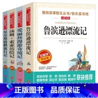 [4册]爱丽丝漫游奇境+鲁滨逊漂流记+尼尔斯骑鹅旅行记+汤姆索亚历险记 [正版]童年书高尔基五六年级 课外书小学生经典书