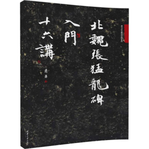 醉染图书北魏张猛龙碑入门十六讲9787302488910