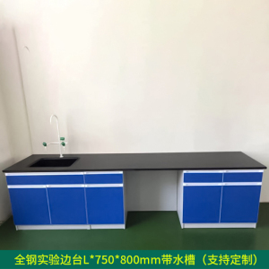 文灵全钢实验台钢木PP边台柜试验台化验室工作台实验室桌操作台定制(每米单价)[工厂现做 7天内发货]