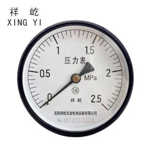 祥屹 轴向压力表检测定制型 Y100Z 块
